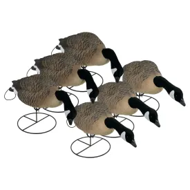 Flight Full Body Canada Goose Feeders