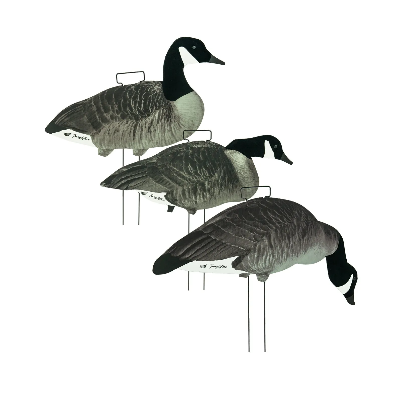 Lesser Canada Skinny Decoy 60 Pack with Flight Skinny Decoy Bag